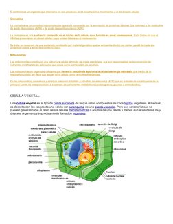 El centriolo es un organelo que interviene en dos procesos: el de locomoción o movimiento, y el de división celular.
Cromatin