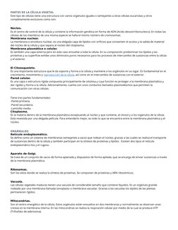 PARTES DE LA CÉLULA VEGETAL
Este tipo de células tiene una estructura con varios orgánulos iguales o semejantes a otras célul