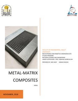 METAL-MATRIX 
COMPOSITES 
MMCs 
FACULTY OF ENGINEERING, ASSUIT 
UNIVERSITY 
MECHATRONICS AND ROBOTICS UNDERGRADUA