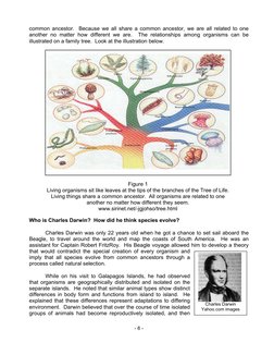 - 6 - 
 
 
 
 
 
 
 
 
Charles Darwin 
Yahoo.com images 
common ancestor.  Because we all share a common ancestor, we are all