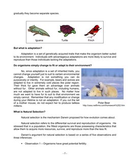 - 7 - 
gradually they become separate species. 
 
 
 
 
 
 
 
 
 
 
 
But what is adaptation? 
 
Adaptation is a set of genet