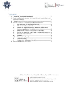 POR: LIC. HÉCTOR TARAZÓN ESQUER, ING. LUÍS QUIROZ MOLINA Y RICARDO A. RAMÍREZ DUARTE 
 
POLICÍA ESTATAL DE SEGURIDAD PÚBLIC