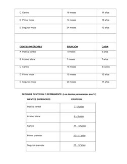 C  Canino  
 
18 meses  
 
11 años  
 
D  Primer molar  
 
14 meses  
 
10 años  
 
E  Segundo molar  
 
24 meses  
 
10 añ