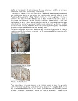 facilitó la interrelación de alimentos de diversas culturas, y también la forma de 
obtenerlos, producirlos, cocinarlos y con