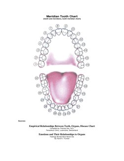 Meridian Tooth Chart
(teeth and meridians, tooth meridian chart)
Sources:
Empirical Relationships Between Teeth, Organs, Dise