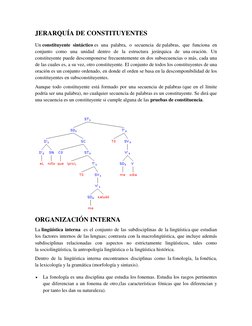 JERARQUÍA DE CONSTITUYENTES 
Un constituyente sintáctico es una palabra, o secuencia de palabras, que funciona en 
conjunto c