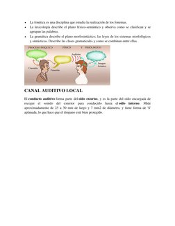  
La fonética es una disciplina que estudia la realización de los fonemas. 
 
La lexicología describe el plano léxico-semán