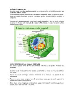 QUÉ ES CÉLULA VEGETAL: 
La célula vegetal es un tipo de célula eucariota que compone muchos de los tejidos vegetales que 
con