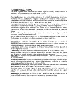 PARTES DE LA CÉLULA VEGETAL 
Las células vegetales están compuestas por diversos orgánulos únicos y, otros que incluso se 
as