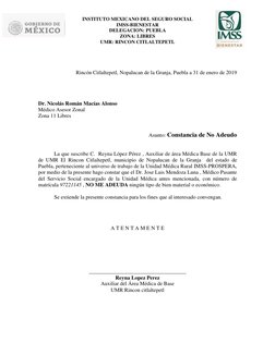 INSTITUTO MEXICANO DEL SEGURO SOCIAL 
IMSS-BIENESTAR 
DELEGACION: PUEBLA 
ZONA: LIBRES 
UMR: RINCON CITLALTEPETL 
 
 
 
 
Rin