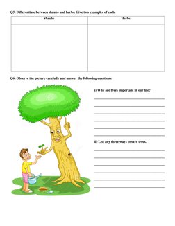 Class 2 EVS Revision Worksheet | PDF | Organisms | Plants