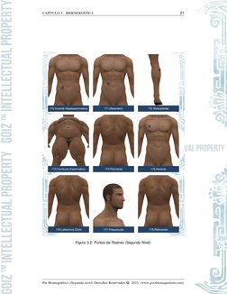 CAP´ITULO 3.  BIOENERGE´ TICA 
21