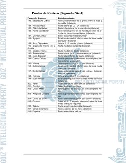 CAP´ITULO 3.   BIOENERGE´ TICA 
2 
Par Biomagn´etico (Segundo nivel) Derechos Reservados Qc   2015 (www.goizbiomagnetism.com)