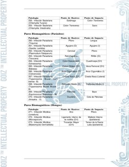 Par Biomagn´etico (Segundo nivel) Derechos Reservados Qc   2015 (www.goizbiomagnetism.com) 
CAP´ITULO 3.   BIOENERGE´ TICA 
1