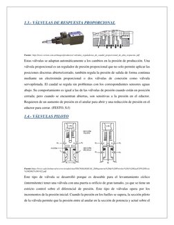 1.3.- VÁLVULAS DE RESPUESTA PROPORCIONAL 
 
Fuente: http://www.verion.com.ar/images/productos/ valvulas_reguladoras_de_caudal
