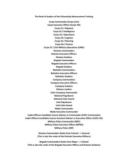 C.A.T Officer Ranks Overview | PDF | Executive Officer | Company ...