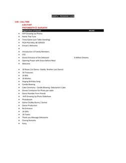 Debut Program Flow Sample | PDF