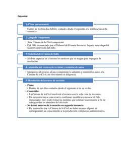 Esquema:  
 
 
 
 
 
 
• Dentro de los tres días hábiles contados desde el siguiente a la notificación de la 
sentencia.
1- P