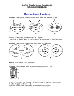 ICSE 10th Class Tenderfeets Study Material 
Cell Division,Chromosomes 
 
Diagram Based Questions 
Question 1: Identify the st