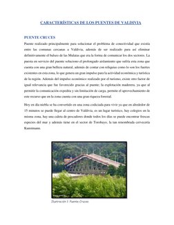CARACTERÍSTICAS DE LOS PUENTES DE VALDIVIA 
 
PUENTE CRUCES 
Puente realizado principalmente para solucionar el problema de c