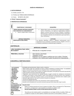 SESIÓN DE APRENDIZAJE N° 
1. DATOS GENERALES 
1.1. Grado y sección: 1° B 
1.2. Profesor (a): PAMELA GARCIA RODRIGUEZ 
1.3. Fe