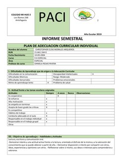 COLEGIO MI HIJO 2 
Los Álamos 268 
Antofagasta 
 
PACI 
2 
 
 
 
 
Año Escolar 2019 
INFORME SEMESTRAL 
PLAN DE ADECUAC