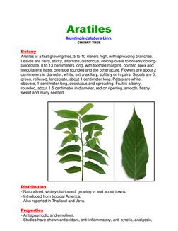 Aratiles: Benefits and Characteristics | PDF | Fruit | Trees