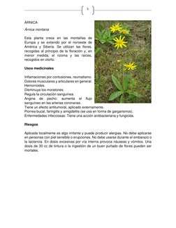 5 
ÀRNICA  
Árnica montana 
  
Esta planta crece en las montañas de 
Europa y se extiendo por el noroeste de 
América y Sib