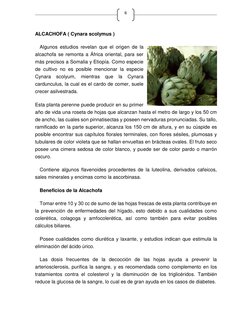 6 
ALCACHOFA ( Cynara scolymus ) 
Algunos estudios revelan que el origen de la 
alcachofa se remonta a África oriental, par