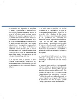 Diseño Curricular para Jóvenes y Adultos | PDF | Plan de estudios ...