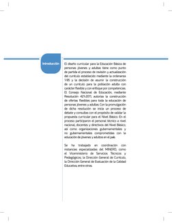 Diseño Curricular para Jóvenes y Adultos | PDF | Plan de estudios ...
