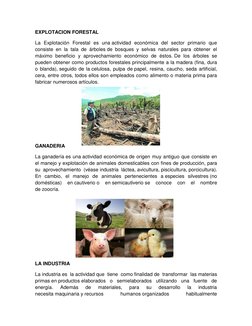 EXPLOTACION FORESTAL 
La Explotación Forestal es una actividad económica del sector primario que 
consiste en la tala de árbo