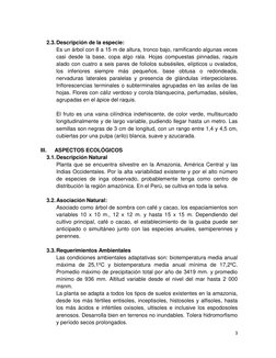 3 
 
 
2.3. Descripción de la especie: 
Es un árbol con 8 a 15 m de altura, tronco bajo, ramificando algunas veces 
casi desd