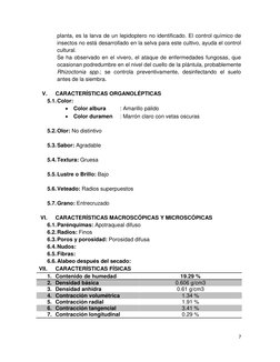 7 
 
planta, es la larva de un lepidoptero no identificado. El control químico de 
insectos no está desarrollado en la selva