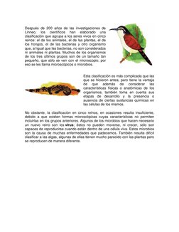 Después de 200 años de las investigaciones de 
Linneo, 
los 
científicos 
han 
elaborado 
una 
clasificación que agrupa a los