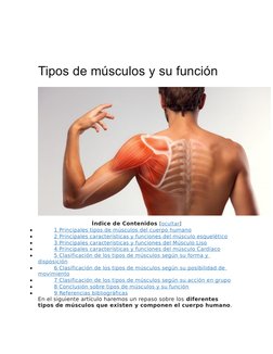 Tipos de músculos y su función
Índice de Contenidos [ocultar ] (https://mundoentrenamiento.com/tipos-de-musculos-y-su-funcion