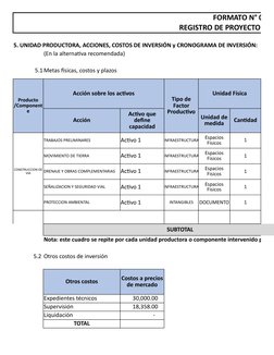 FORMATO N° 07-A
REGISTRO DE PROYECTO DE I
5. UNIDAD PRODUCTORA, ACCIONES, COSTOS DE INVERSIÓN y CRONOGRAMA DE INVERSIÓN:
(En