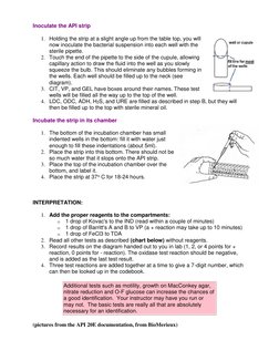 API 20E Test Procedure and Interpretation | PDF | Bacteria | Chemistry
