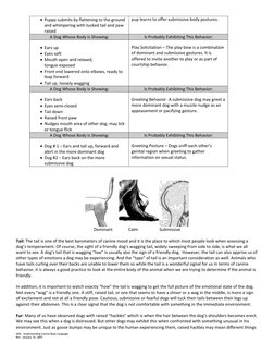 AHS:  Understanding Canine Body Language 
Rev. January 10, 2007 
Puppy submits by flattening to the ground
and whimpering wi
