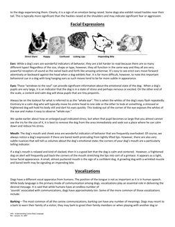 AHS:  Understanding Canine Body Language 
Rev. January 10, 2007 
to the dogs experiencing them. Clearly, it is a sign of an e