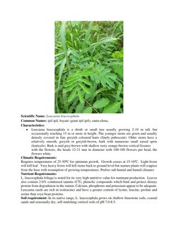 Scientific Name: Leucaena leucocephala  
Common Names: ipil ipil, bayani (giant ipil ipil), santa-elena, 
Characteristics: