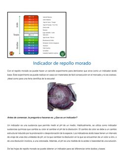 (http://i271.photobucket.com/albums/jj124/lexironnie/repollomorado.jpg)  
 
Indicador de repollo morado 
Con el repollo mora