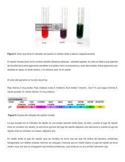 (http://3.bp.blogspot.com/_fQqEwRMsN0k/TUTvmOz2LaI/AAAAAAAAAKY/VB5dUv4LAoo/s1600/escalaRepollo.PNG) 
 
Figura 2. Color que t