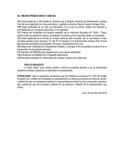 VII.- MEDIOS PROBATORIOS Y ANEXOS. 
 
1-A Copia simple de mi DNI donde se verificará que el Registro Nacional de Identificaci