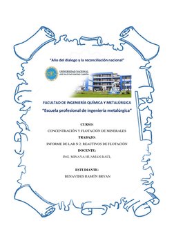 “Año del dialogo y la reconciliación nacional” 
 
FACULTAD DE INGENIERÍA QUÍMICA Y METALÚRGICA 
“Escuela profesional