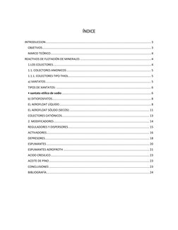 ÍNDICE 
 
INTRODUCCION ....................................................................................................