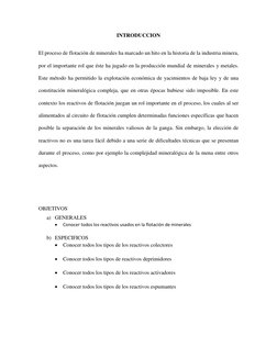 INTRODUCCION 
El proceso de flotación de minerales ha marcado un hito en la historia de la industria minera, 
por el importan