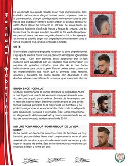 J 
o 
r 
n 
a 
d 
a 
 
 
S 
a 
b 
a 
t 
i 
n 
a 
Es un peinado que puede resultar en un nivel impresionante. Con 
costado