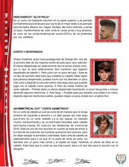 J 
o 
r 
n 
a 
d 
a 
 
 
S 
a 
b 
a 
t 
i 
n 
a 
 
HIGH HAIRCUT “ALTO PELO” 
Es un corte con bastante volumen en su parte