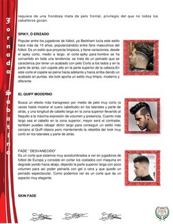 J 
o 
r 
n 
a 
d 
a 
 
 
S 
a 
b 
a 
t 
i 
n 
a 
requiere de una frondosa mata de pelo frontal, privilegio del que no tod